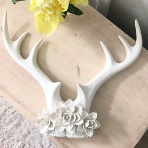 ✨NWOT ✨Rustic Chic White Antler Decor